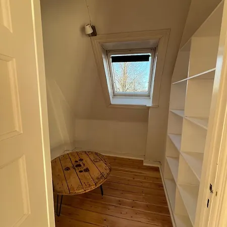 Entire Apartment In Lovely Villa Odense Exterior photo